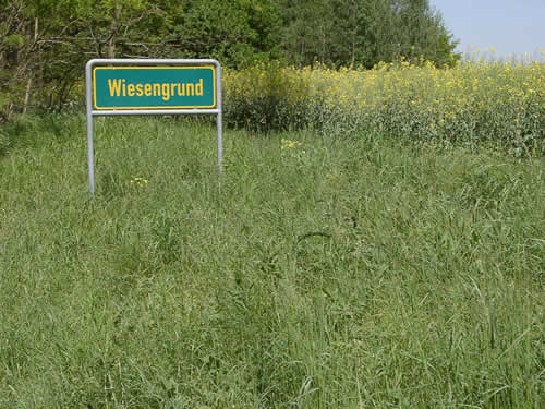 Wiesengrund bei Berlin