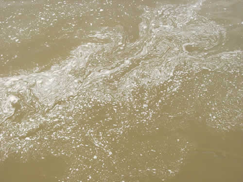 Blaue Donau