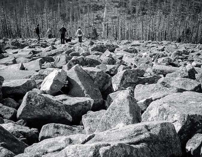 Der Blick, der allen gehört. Foto: Hufner