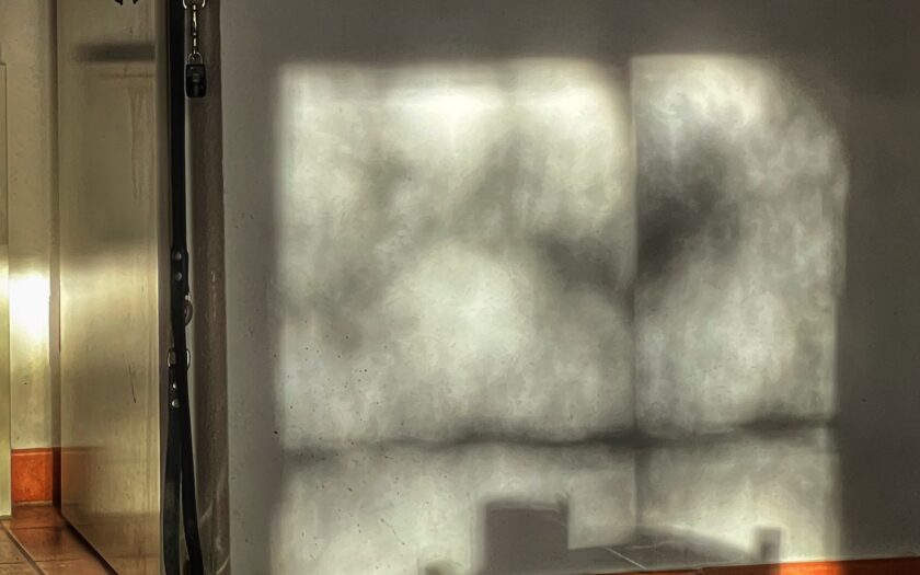 Schatten. Foto: Hufner