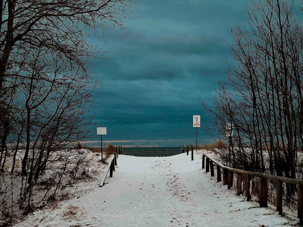 Strandübergang 7. Krabbe. Foto: Hufner