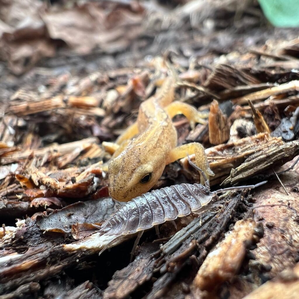 Neue Mitarbeiter innen im Garten. © MH Neue Mitarbeiter innen im Garten. © MH